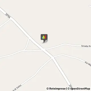 Equitazione - Abbigliamento ed Attrezzature Anagni,03012Frosinone