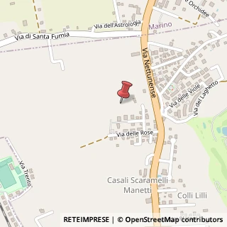 Mappa Via Nettunense, 00073 Castel Gandolfo RM, Italia, 00073 Castel Gandolfo, Roma (Lazio)