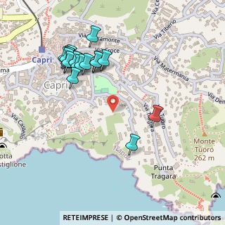 Mappa Via Marino Occhio, 80073 Capri NA, Italia (0.2815)