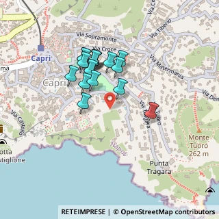 Mappa Via Marino Occhio, 80073 Capri NA, Italia (0.19941)