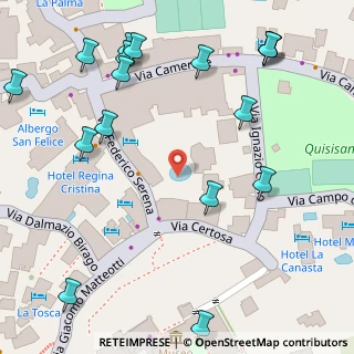Mappa Via Certosa, 80073 Capri NA, Italia (0.09412)