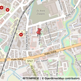 Mappa Via Borgo Porta, 31, 31015 Conegliano, Treviso (Veneto)