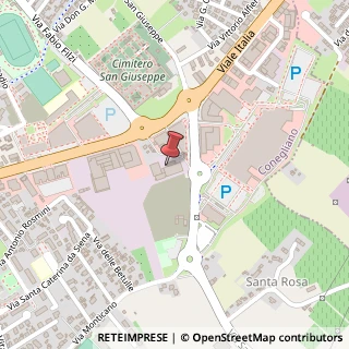Mappa Viale Italia, 212/C, 31015 Conegliano, Treviso (Veneto)