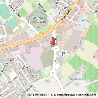 Mappa Viale Italia, 212, 31015 Conegliano, Treviso (Veneto)