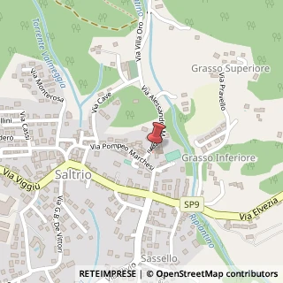 Mappa Via Alessandro Manzoni, 10, 21050 Saltrio, Varese (Lombardia)