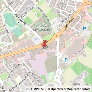 Mappa Viale Italia, 202, 31015 Conegliano, Treviso (Veneto)