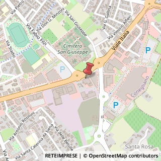 Mappa Viale Italia, 220, 31015 Conegliano, Treviso (Veneto)