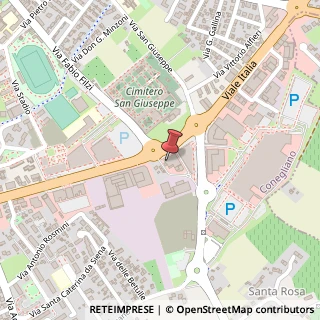 Mappa Viale Italia, 216, 31015 Conegliano, Treviso (Veneto)