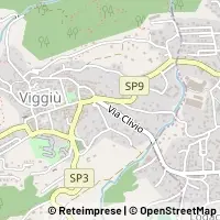 Map Viggiù