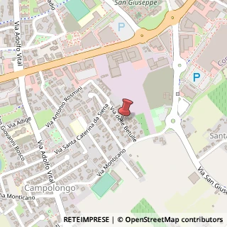 Mappa Via betulle 22/b, 31015 Conegliano, Treviso (Veneto)