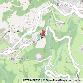 Mappa Via Provinciale, 12, 24010 Valnegra, Bergamo (Lombardia)
