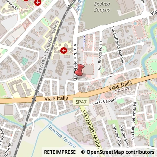 Mappa Via Daniele Manin, 49, 31015 Conegliano, Treviso (Veneto)