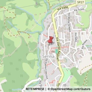 Mappa Via Cardinal Cavagnis, 11, 24017 Serina, Bergamo (Lombardia)