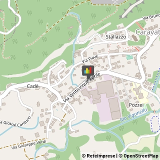 Psicologi Caravate,21032Varese