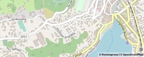 Mappa Omegna