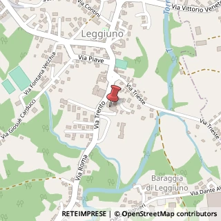 Mappa Via Trento, 29, 21038 Leggiuno, Varese (Lombardia)