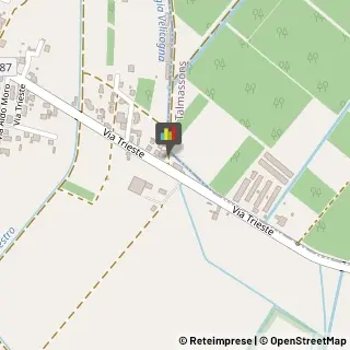 Piante e Fiori - Dettaglio Pocenia,33050Udine