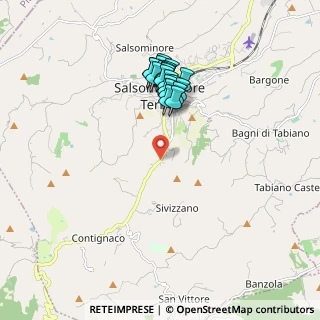 Mappa Via Fratelli Vignali, 43039 Salsomaggiore Terme PR, Italia (1.6595)