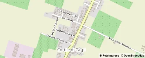 Mappa Carpi