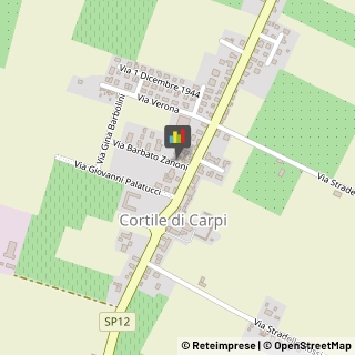 Scuole Pubbliche,41012Modena