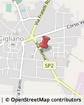 Via Roma, 44,13043Cigliano