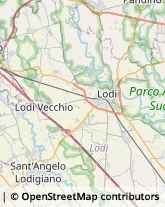 Cereali e Granaglie Montanaso Lombardo,26836Lodi