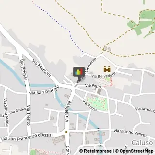 Amministrazioni Immobiliari Caluso,10014Torino