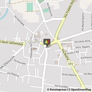 Amministrazioni Immobiliari Cigliano,13043Vercelli