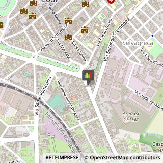 Piante e Fiori Artificiali - Dettaglio Lodi,26900Lodi