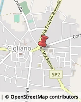 Via Roma, 4,13043Cigliano