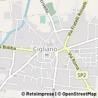 Mapa Cigliano