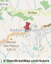 Via Roma, 16,53017Radda in Chianti