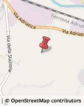 Via Adriatica, 10,60022Castelfidardo