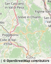 Campeggi, Villaggi Turistici e Ostelli Greve in Chianti,50022Firenze