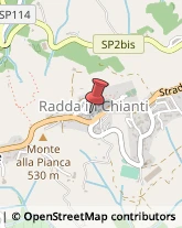 Via Roma, 33,53017Radda in Chianti