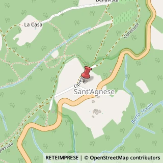 Mappa Località San Agnese Caselle, 111, 53011 Castellina in Chianti, Siena (Toscana)