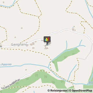 Bed e Breakfast,53036Siena