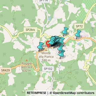 Mappa SR429, 53017 Radda in Chianti SI, Italia (0.404)