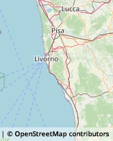 Aziende Agricole Livorno,57128Livorno