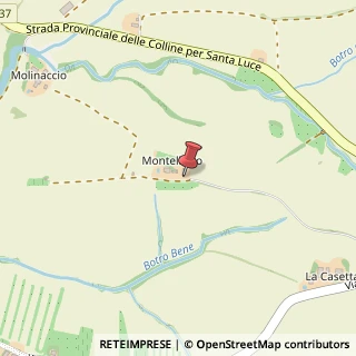Mappa Via di Moltreto, 2, 56040 Santa Luce, Pisa (Toscana)