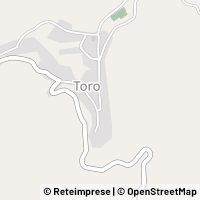 Kort Toro
