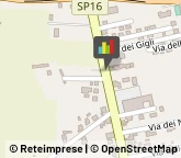 Trasporti con Containers,LT 04Latina