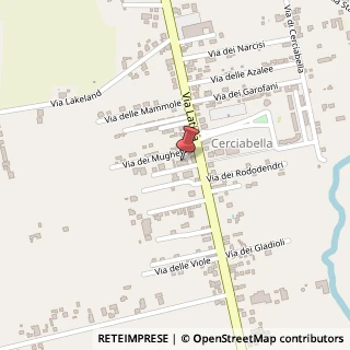 Mappa Via delle Rose, 18, 04012 Cisterna di Latina, Latina (Lazio)