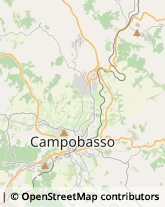 Autotrasporti Campobasso,86100Campobasso