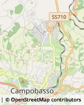 Autotrasporti Ripalimosani,86025Campobasso