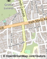 Viale Mario Rapisardi, 267,95123Catania