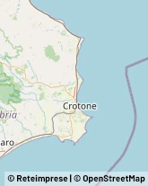 Succhi di Frutta e Verdura,88822Crotone