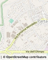 Via Partanna Mondello, 146,90151Palermo