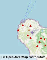 Aziende Agricole,91017Trapani