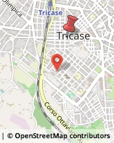 Corso Roma, 122,73039Tricase